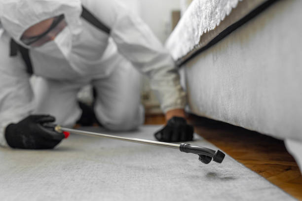 Professional Pest Control technician working in Pierce County County, GA